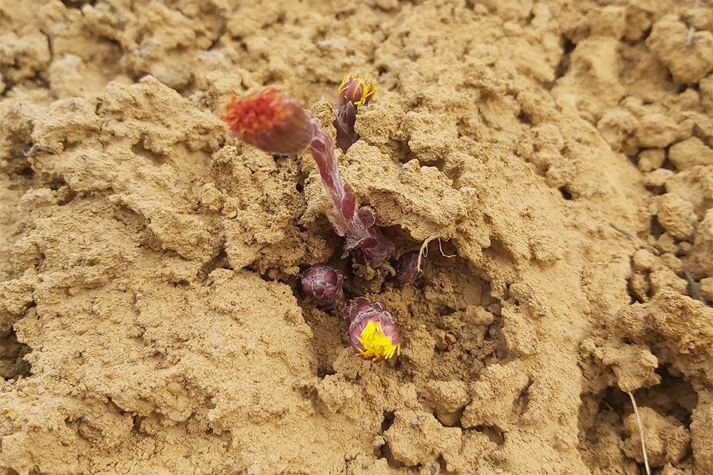 „Lebensspuren“ von Viktoria Knopper aus der 2a der MS Premstätten / Viktoria Knopper